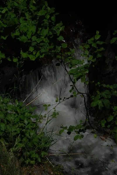 DSC_0043 (Large).JPG